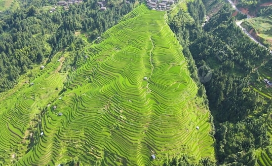 Ruộng bậc thang Jiabang