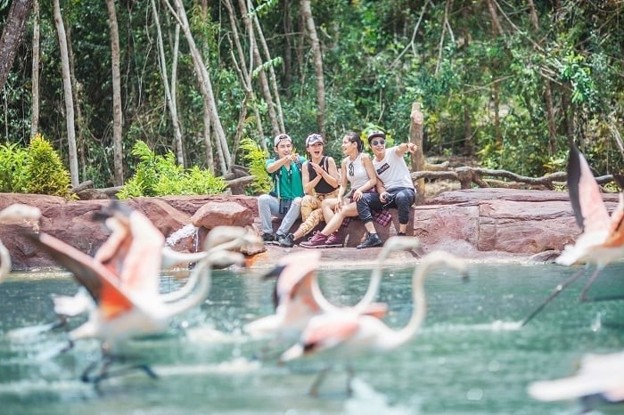 Khám phá thế giới hoang dã tại Vinpearl Safari Phú Quốc