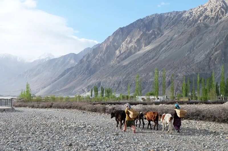 Kinh nghiệm du lịch Leh Ladakh - Tiểu Tây Tạng trên đất Ấn
