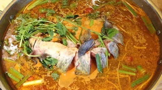 CANH CÁ CHUA