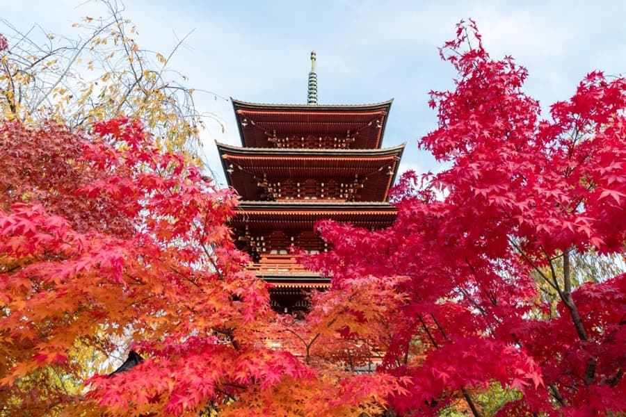 Aomori, Tohoku, Nhật Bản