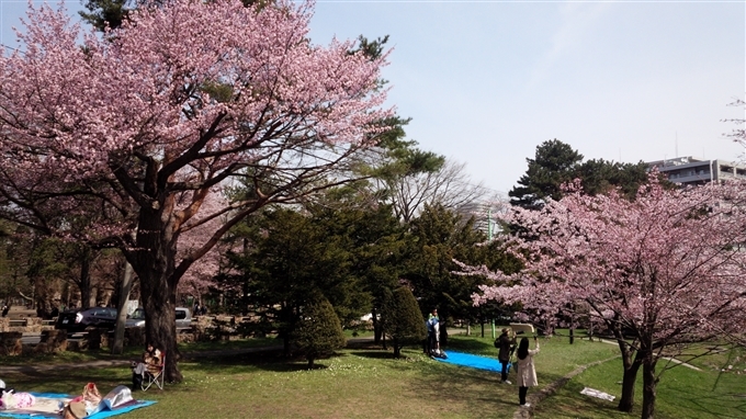 Công viên Maruyama (Hokkaido)