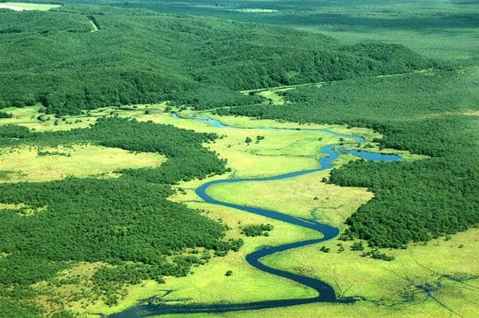 Đầm lầy Kushiro, Hokkaido, Nhật Bản