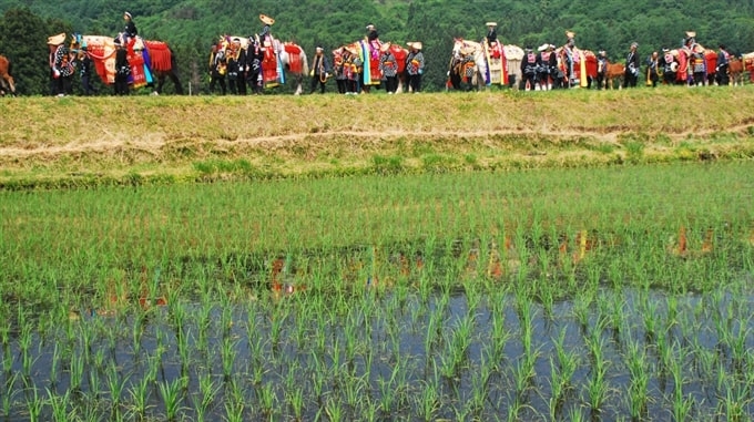 Lễ hội Chagu Chagu Umakko, Iwate, Tohoku, Nhật Bản