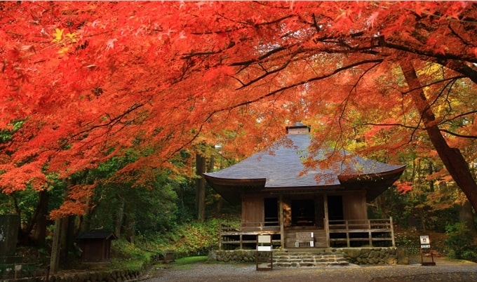 Lễ hội Mùa thu Fujiwara, Iwate, Tohoku, Nhật Bản