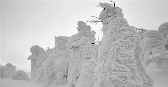 Quái vật Tuyết Zao (Yamagata), Tohoku, Nhật Bản