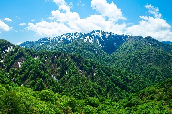 Shirakami Sanchi (Aomori), Tohoku, Nhật Bản