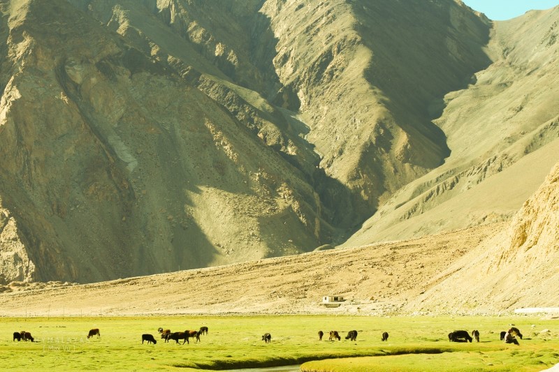 Thiên nhiên kỳ vĩ ở Ladakh