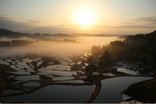 Ruộng bậc thang Hoshitoge, Niigata, Hokuriki shinetsu, Nhật Bản