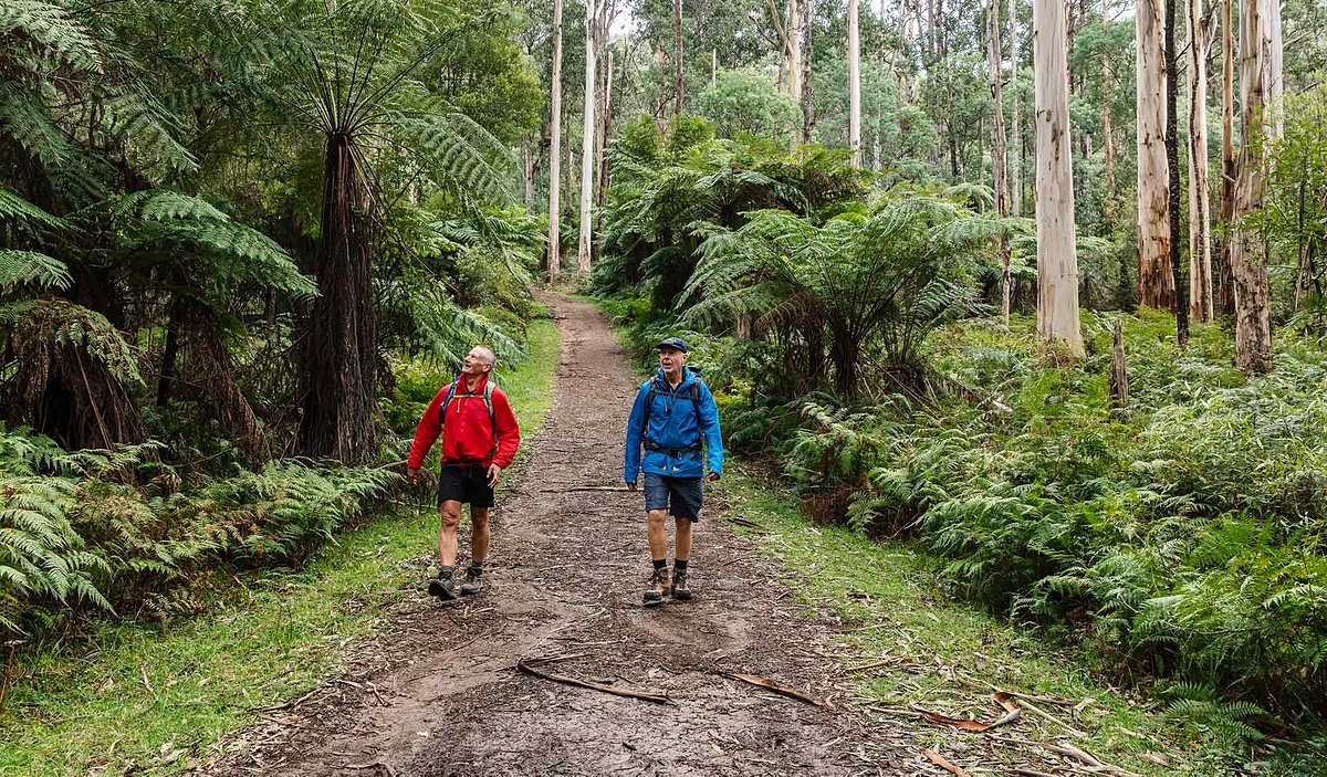 Công viên quốc gia Dandenong Australia