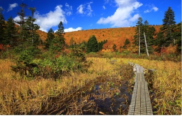 Đi bộ đường dài lên Núi Hachimantai, Akita, Tohoku, Nhật Bản