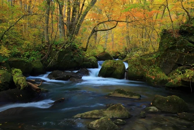 Hồ Towada & Khu vực xung quanh, Aomori, Tohoku, Nhật Bản