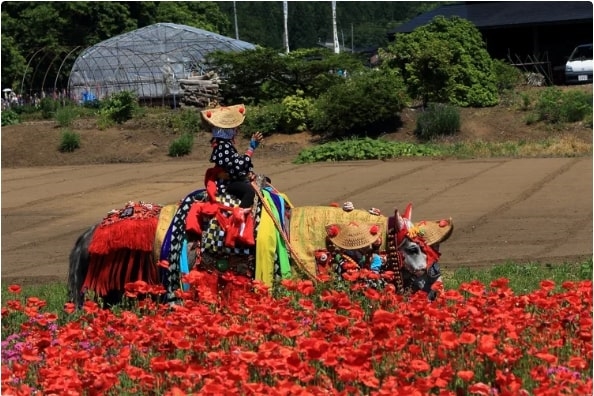 Lễ hội Chagu Chagu Umakko, Iwate, Tohoku, Nhật Bản