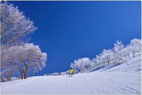 Địa hình nhiều núi của Nhật Bản mở ra cơ hội cho nhiều khu nghỉ dưỡng trượt tuyết