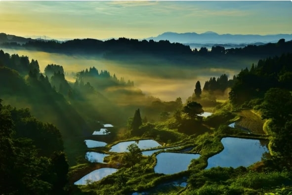 Ruộng bậc thang Hoshitoge, Niigata, Hokuriki shinetsu, Nhật Bản