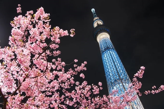 “Đỉnh” của Tokyo