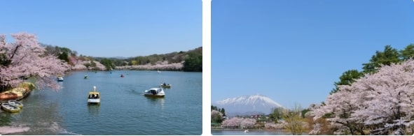 Công viên Takamatsu, Iwate, Tohoku, Nhật Bản