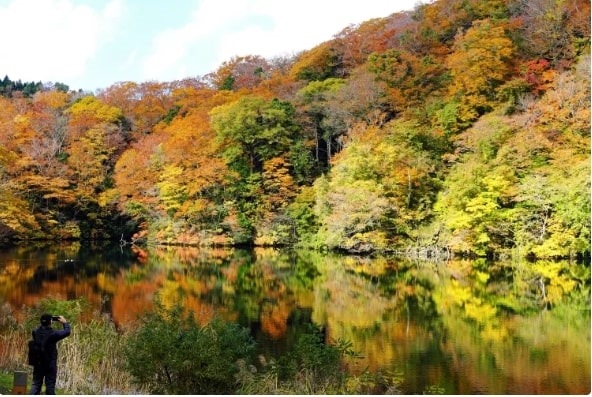 Dãy núi Shirakami Sanchi (UNESCO), Akita, Tohoku, Nhật Bản