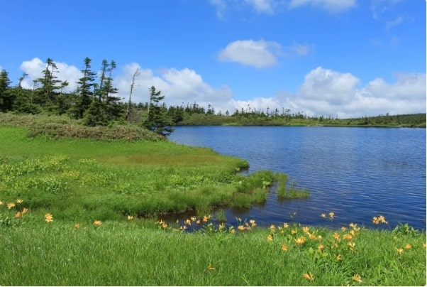 Đi bộ đường dài lên Núi Hachimantai, Akita, Tohoku, Nhật Bản