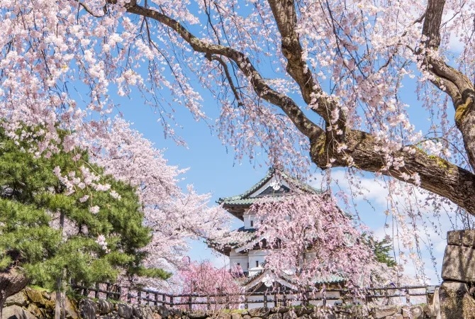 Hirosaki & Khu vực xung quanh, Aomori, Tohoku, Nhật Bản