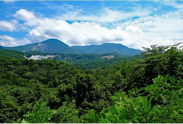 Shirakami & Odate, Akita, Tohoku, Nhật Bản