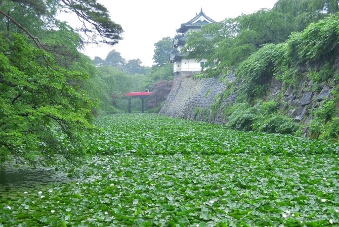 Thành Hirosaki, Aomori, Tohoku, Nhật Bản