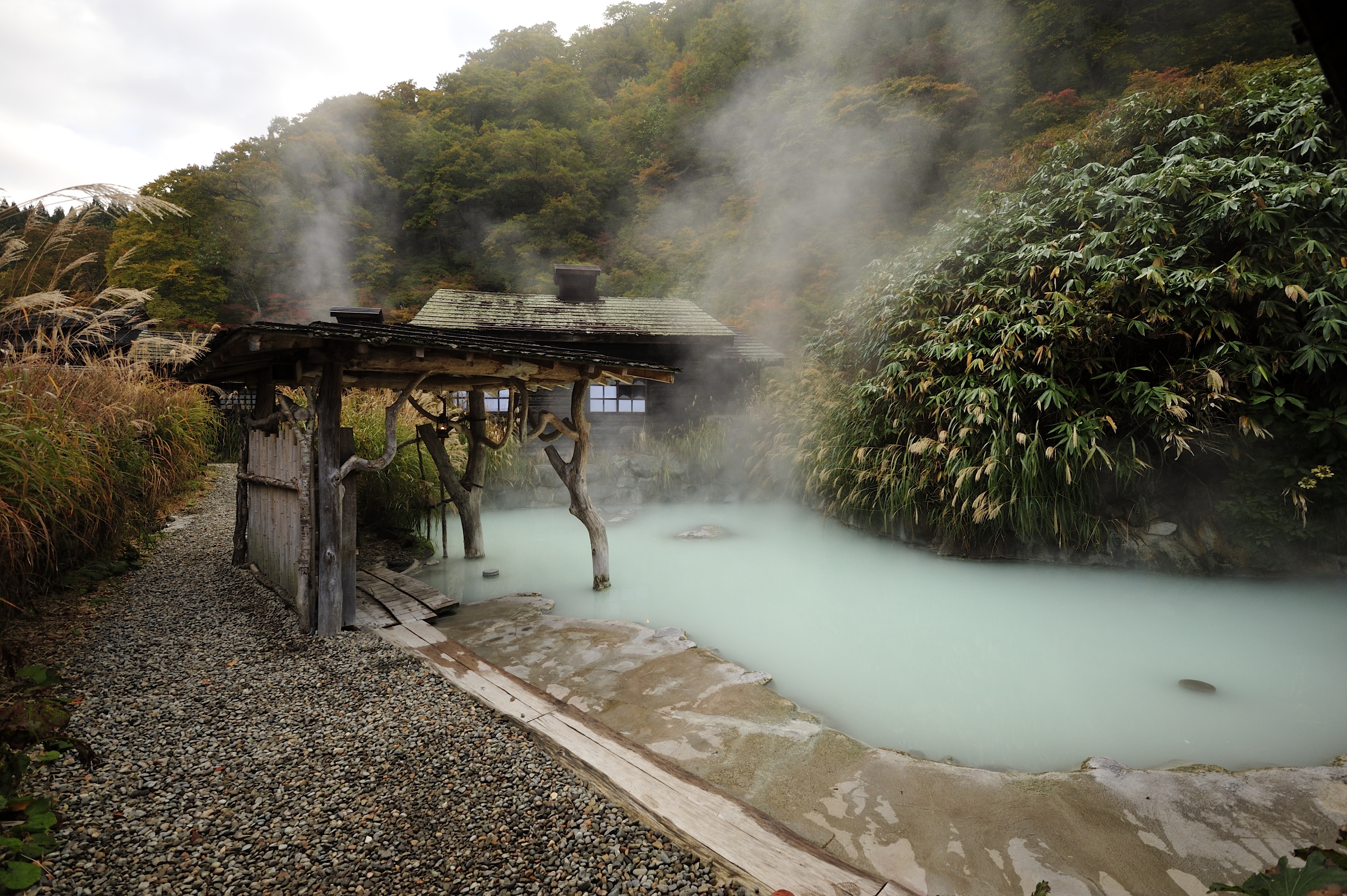 Tohoku, Nhật Bản