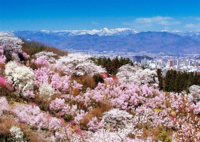 Công viên Kasumigajo,  Fukushima, Tohoku, Nhật Bản