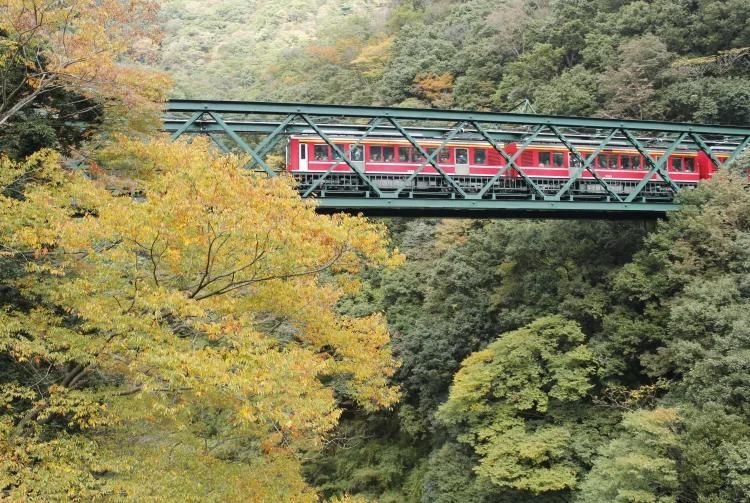 Hakone di sản tuyệt vời và cảnh quan Núi Phú Sĩ tuyệt mỹ