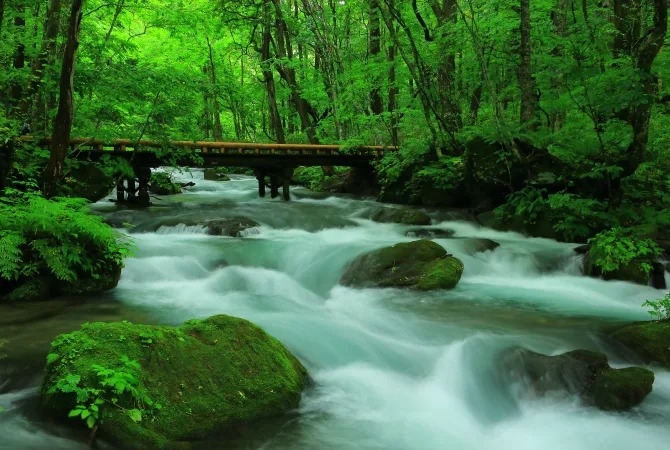 Hẻm núi Oirase, Aomori, Hotoku, Nhật Bản