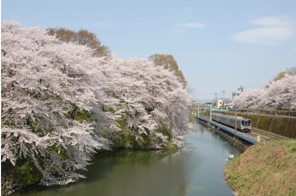 Thành Yamagata, Tohoku, Nhật Bản