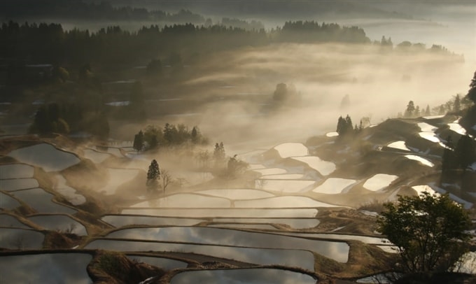 Ruộng bậc thang Hoshitoge, Niigata, Hokuriki shinetsu, Nhật Bản