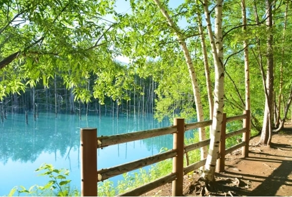 Blue Pond, Hokkaido, Nhật Bàn