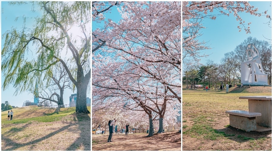 Dạo bộ và lắng nghe khúc ca mùa xuân trên những cung đường đẹp nhất Seoul