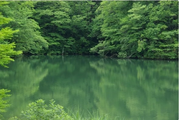 Dãy núi Shirakami Sanchi (UNESCO), Akita, Tohoku, Nhật Bản