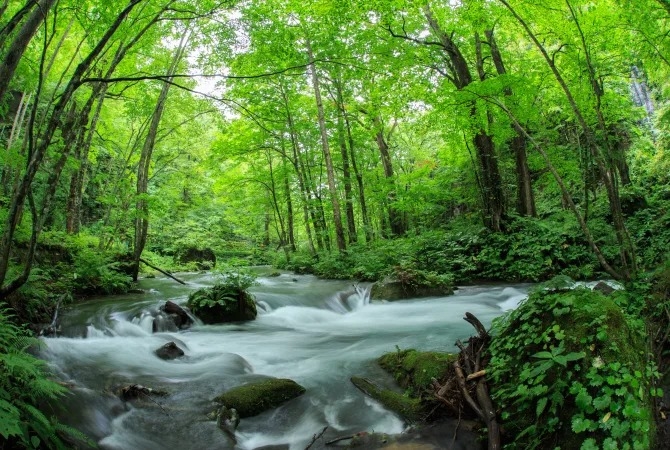 Hẻm núi Oirase, Aomori, Hotoku, Nhật Bản