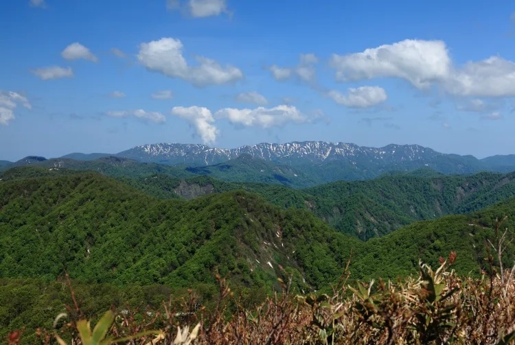 Hirosaki & Khu vực xung quanh, Aomori, Tohoku, Nhật Bản