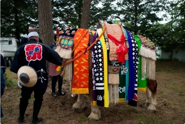 Lễ hội Chagu Chagu Umakko, Iwate, Tohoku, Nhật Bản