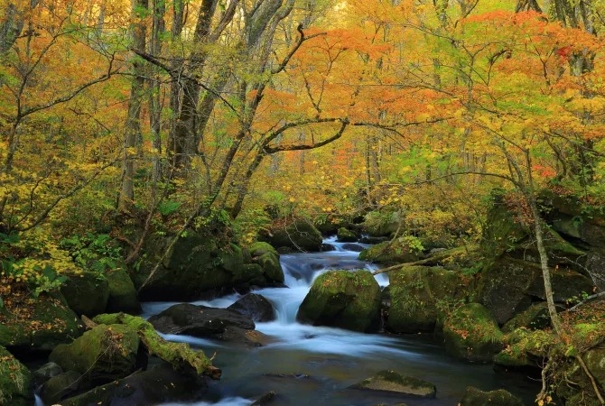 Hồ Towada & Khu vực xung quanh, Aomori, Tohoku, Nhật Bản