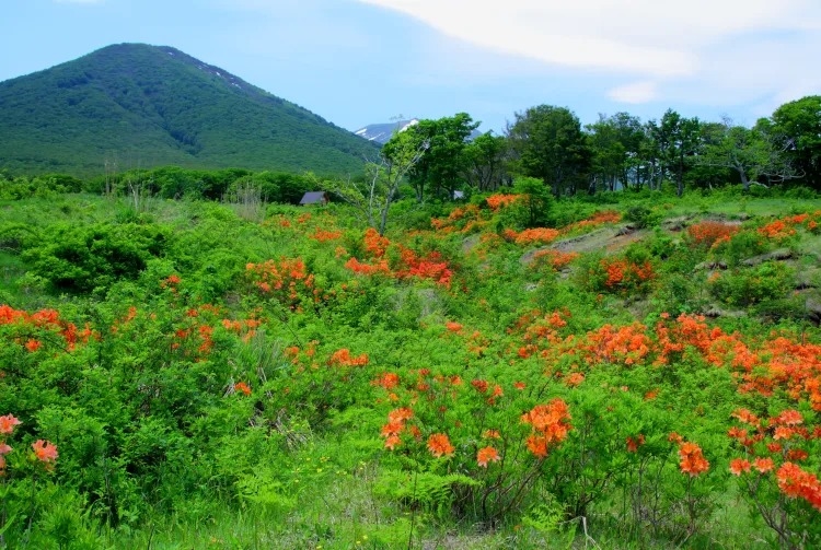 Hồ Towada & Khu vực xung quanh, Aomori, Tohoku, Nhật Bản