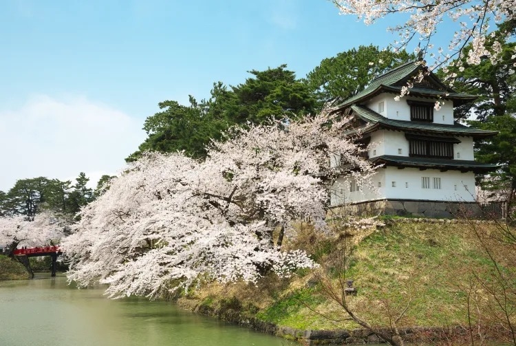 Thành Hirosaki, Aomori, Tohoku, Nhật Bản