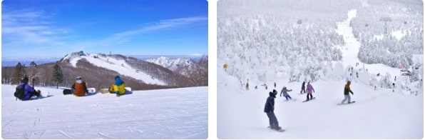 Các đường trượt rộng, dốc tự nhiên và tuyết bột là mơ ước đối với dân trượt ván trên tuyết