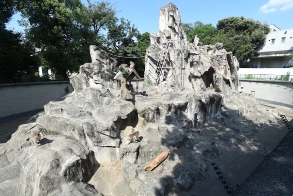 'Núi Khỉ' trong Sở thú Ueno là cơ sở lâu đời nhất thuộc loại này ở Nhật Bản