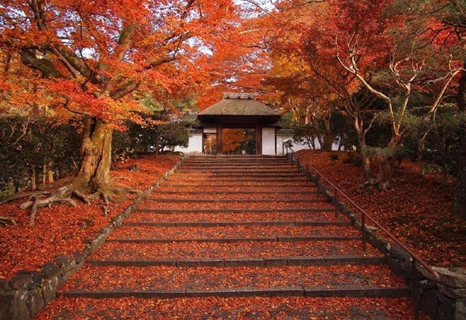 Con đường Triết học, Kyoto, Kansai, Nhật Bản