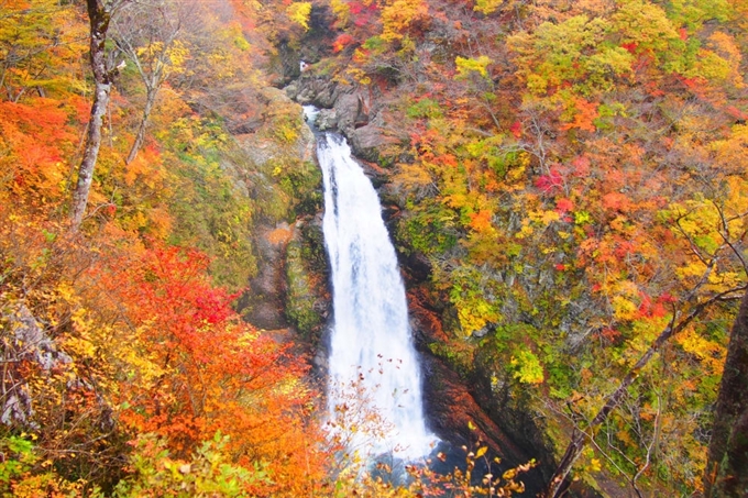 Làm mới các giác quan tại một trong những thác nước đẹp nhất Nhật Bản