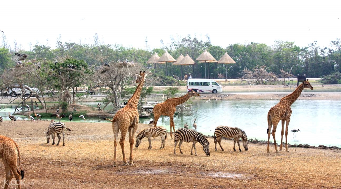 Du lịch Bangkok - Safari World - Pattaya