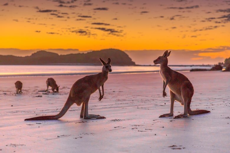 Du lịch Australia