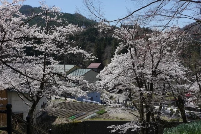 Lâu đài Tateyama