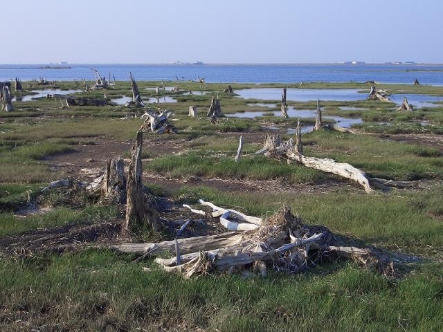 Bán đảo Notsuke, Hokkaido, Nhật Bản