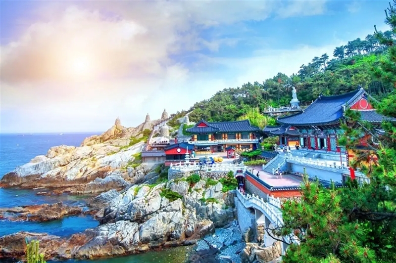 Du lịch Hàn Quốc Busan - Seoul - Đảo Nami - Incheon mùa hè